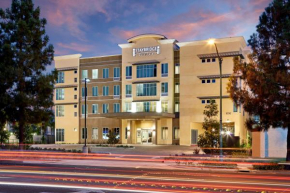 Гостиница Staybridge Suites Anaheim At The Park, an IHG Hotel  Анахайм